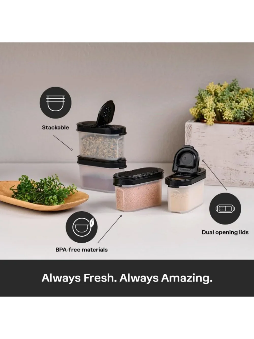 Set of 4 Small Spice Shakers - BPA-Free, Dishwasher Safe, Keeps Herbs Fresh